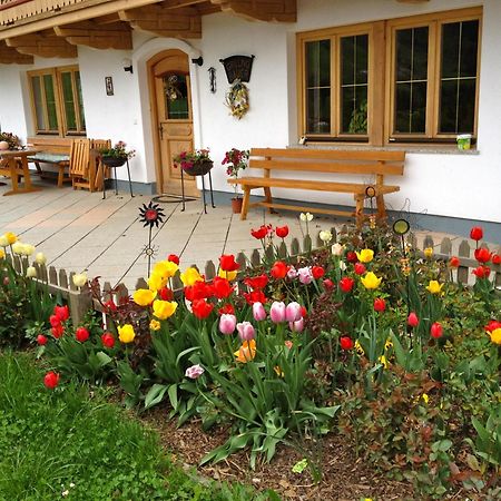 Villa Grillinghof Kirchberg in Tirol Exterior foto